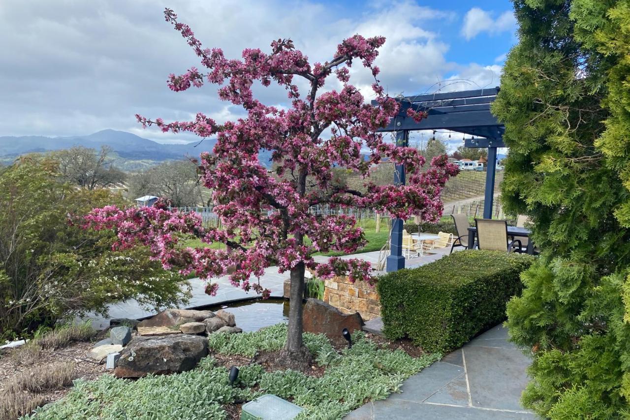 Alexander Valley Retreat Healdsburg Eksteriør bilde
